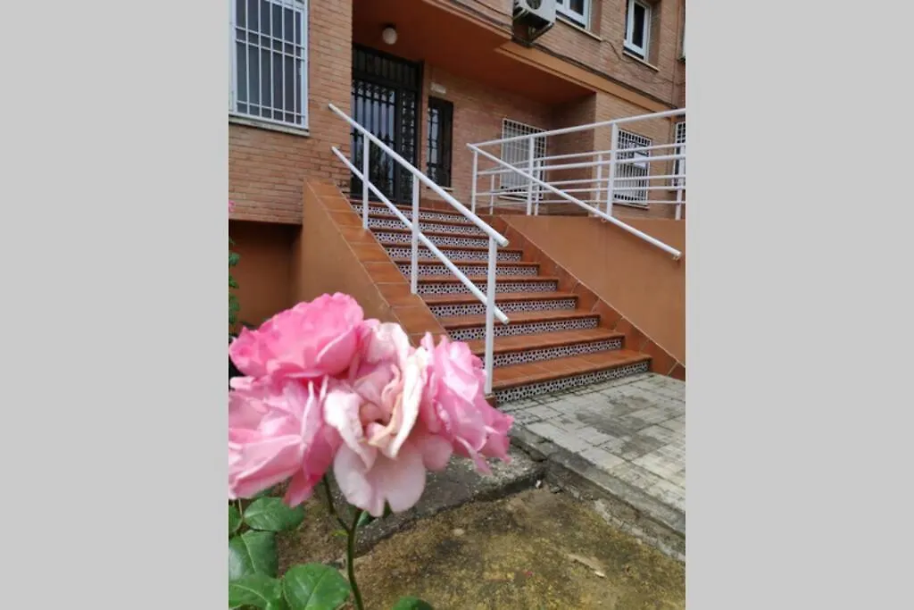 Alquiler Vacacional Carlos III Apartment Cordoba 0*,  Spain